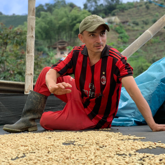 Colombia 〉 Andrés Muñoz La Primavera